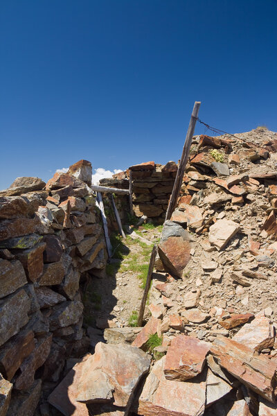 Тренд Первой мировой войны
