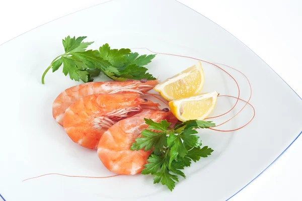 Plate with shrimps — Stock Photo, Image