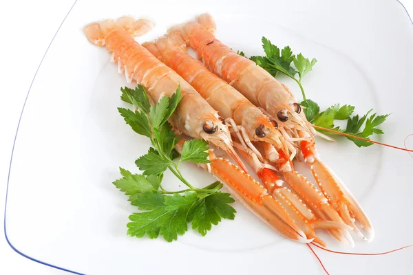 Plate with prawns and parsley — Stock Photo, Image