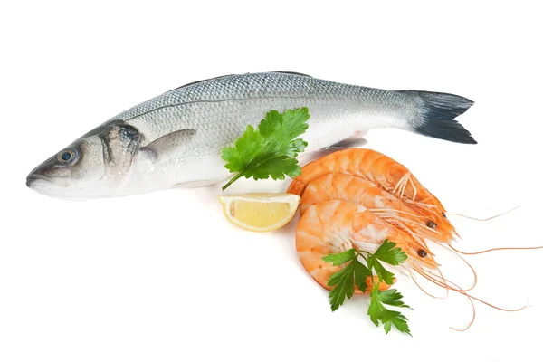Sea bass with prawns and parsley — Stock Photo, Image