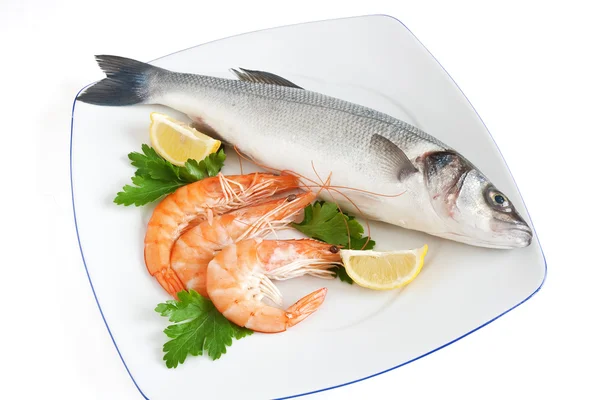 Sea bass with parsley and prawns — Stock Photo, Image
