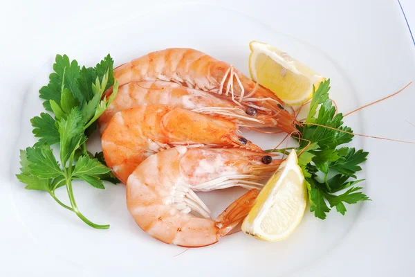 Plate with shrimps closeup — Stock Photo, Image