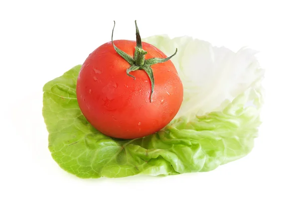 Tomate et laitue — Photo
