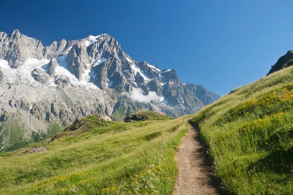 Caminho alpino — Fotografia de Stock