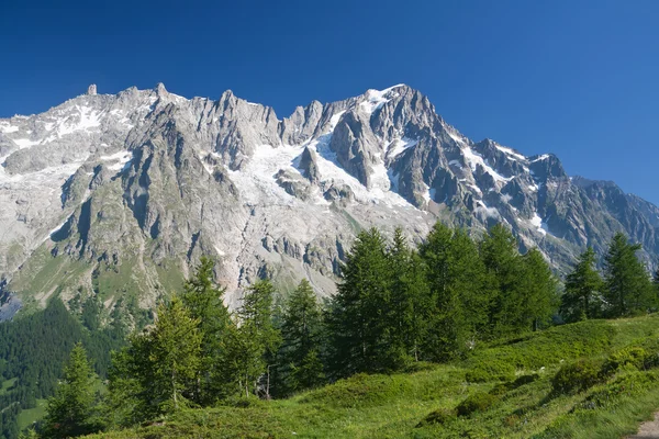 Les Grandes Jorassese - Mont Blanc — Stock Photo, Image
