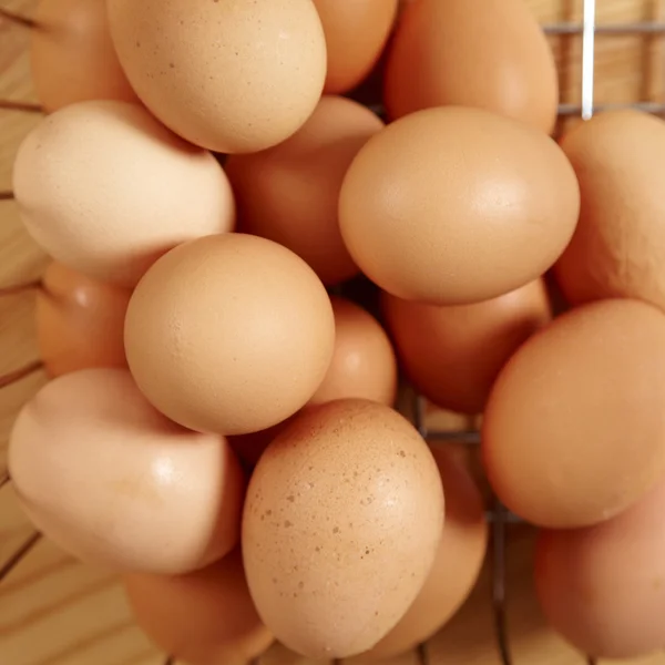 신선한 갈색 계란 — 스톡 사진