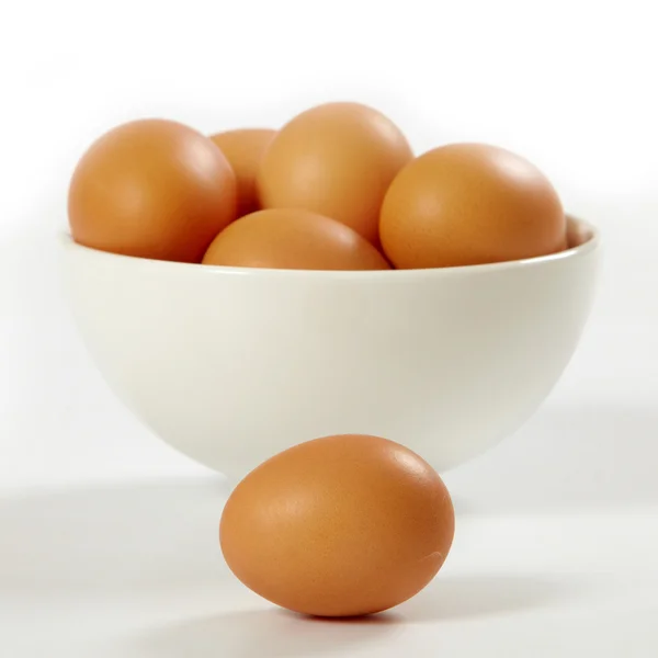 Frische braune Eier — Stockfoto