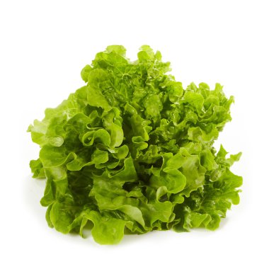 Fresh green lettuce clipart