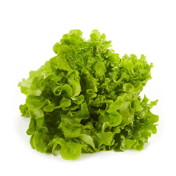 Färsk grön sallad — Stockfoto