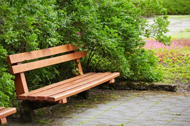 eski Park Bench