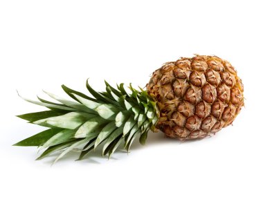 taze ananas