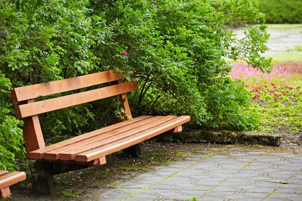 Bench in old park — Stock Photo, Image
