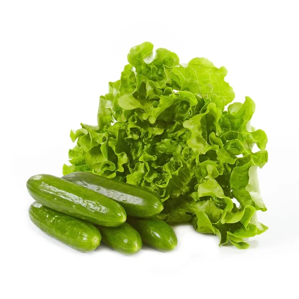 Grön sallad och gurka — Stockfoto