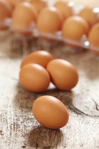 Καφετιά αυγά — Φωτογραφία Αρχείου