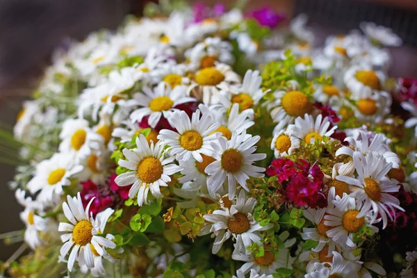 Kytice divokých květin — Stock fotografie