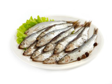 Anchovy clipart