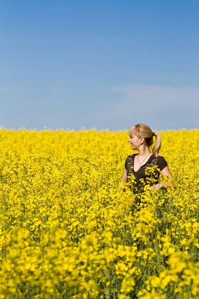 Жінка в полі з польовими квітами — стокове фото