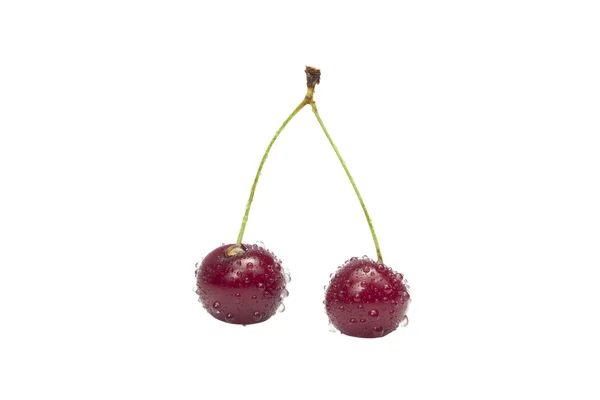 Две вишни со стеблем — стоковое фото