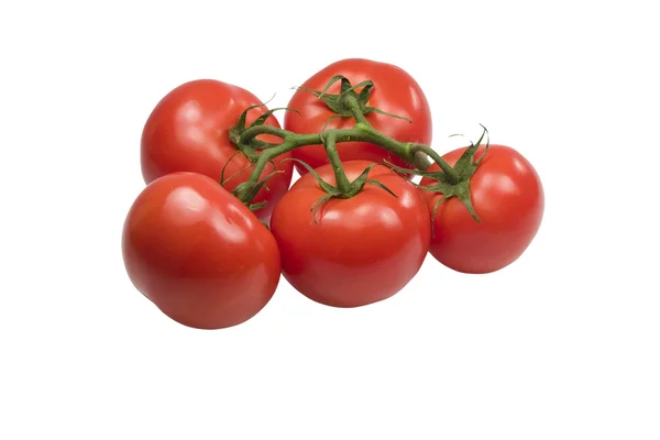 Gruppe reifer Tomaten auf weißem Hintergrund — Stockfoto