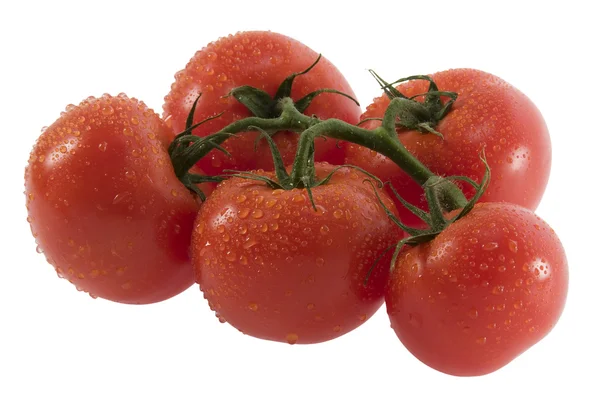 Grupo de tomates maduros sobre fondo blanco — Foto de Stock