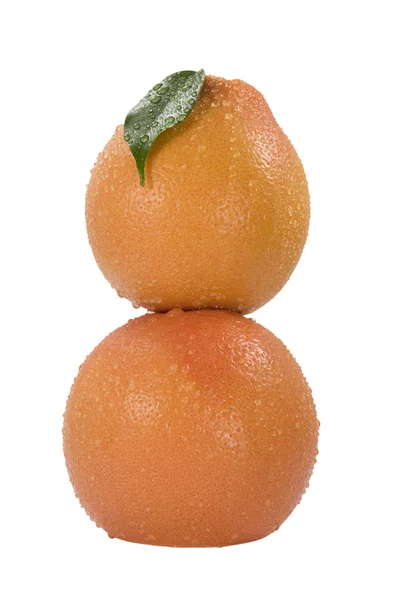 Два грейпфрута на білому тлі — стокове фото