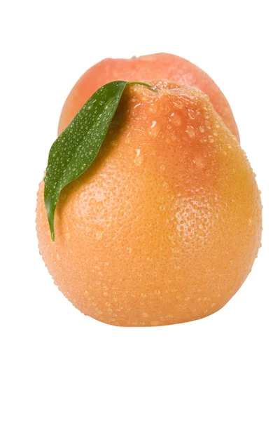 Twee grapefruit op een witte achtergrond — Stockfoto