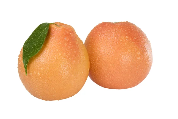 Twee grapefruit op een witte achtergrond — Stockfoto