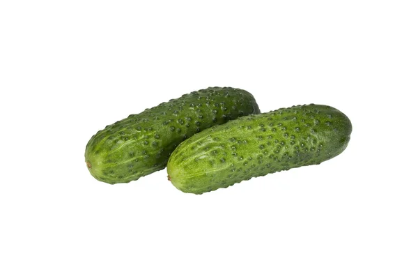 Two Cucumber on a white background — Stock Photo, Image