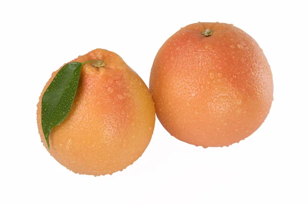 Két grapefruit egy fehér háttér — Stock Fotó