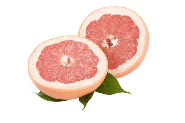 Plátek grapefruitu s listy na bílém pozadí — Stock fotografie