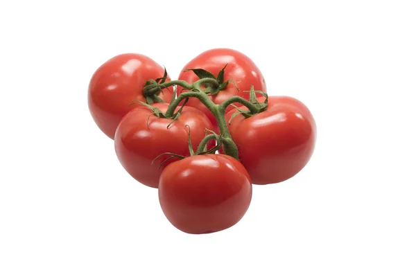 Gruppe reifer Tomaten auf weißem Hintergrund — Stockfoto