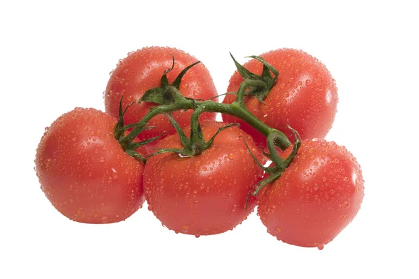 Grupa dojrzałych pomidorów z liści na łodydze — Zdjęcie stockowe