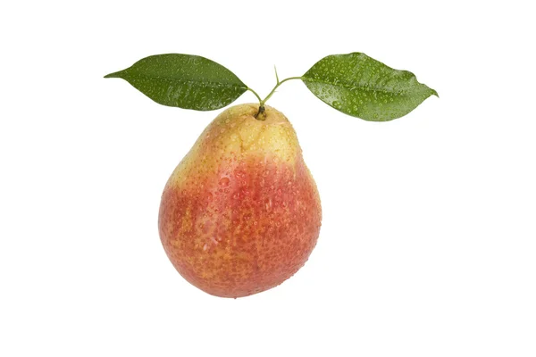 Una pera con foglia su sfondo bianco — Foto Stock