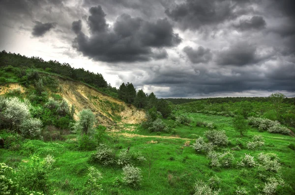 Zielony łąka z pochmurnego nieba — Zdjęcie stockowe