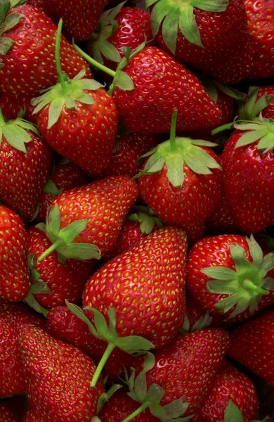 Tas d'une fraise fraîche — Photo