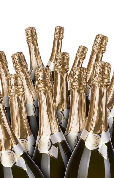 Lot of champagne bottles — Stock Photo, Image