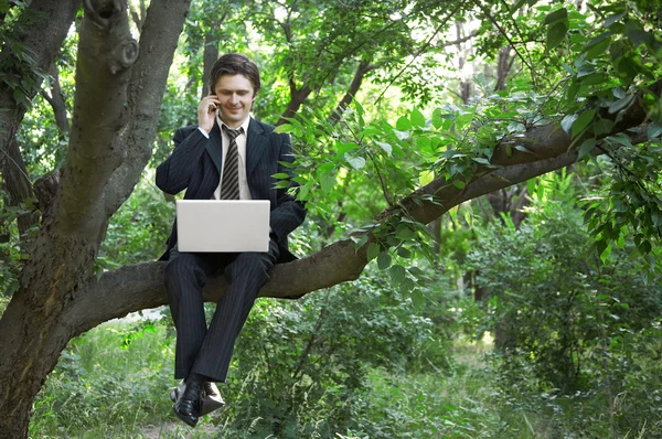 Бізнесмен використовує ноутбук — стокове фото