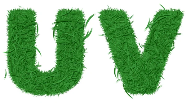 Two letters of green grass alphabet — Stock Photo, Image