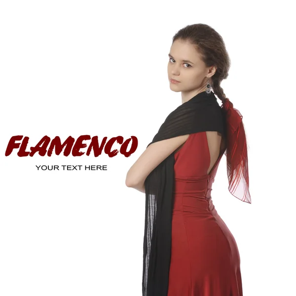 Flamenco —  Fotos de Stock