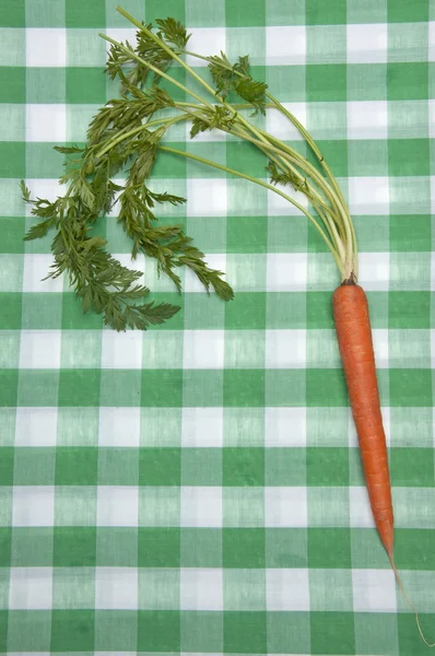Picnic alla carota — Foto Stock