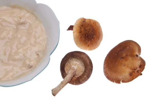 Crema di minestra di fungo — Foto Stock