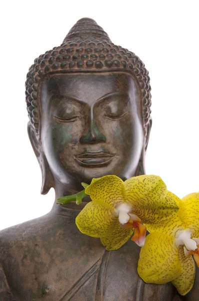 Serene Buddha with Orchids — Stock Photo, Image
