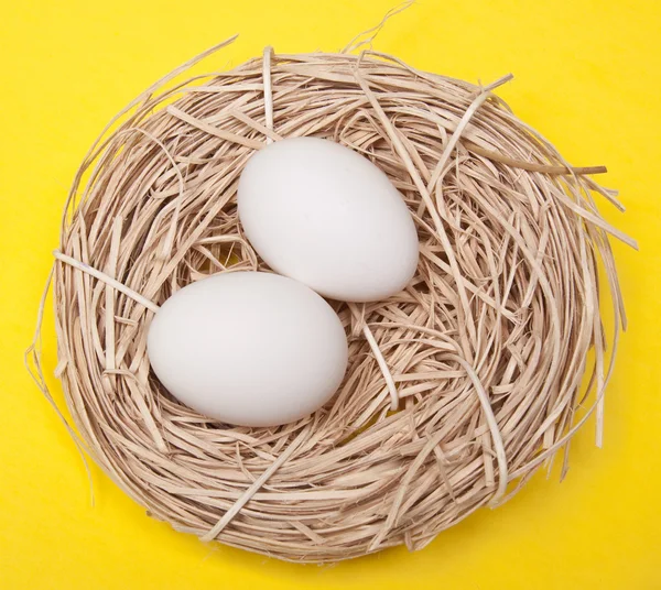 Eggs in a Nest — Stock Photo, Image