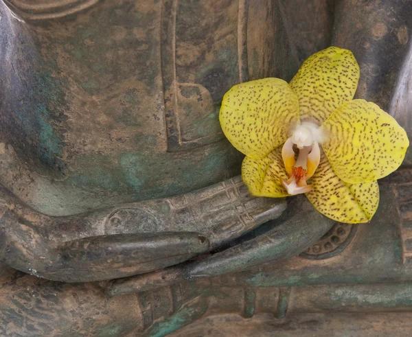 Händerna på en lugn buddha — Stockfoto