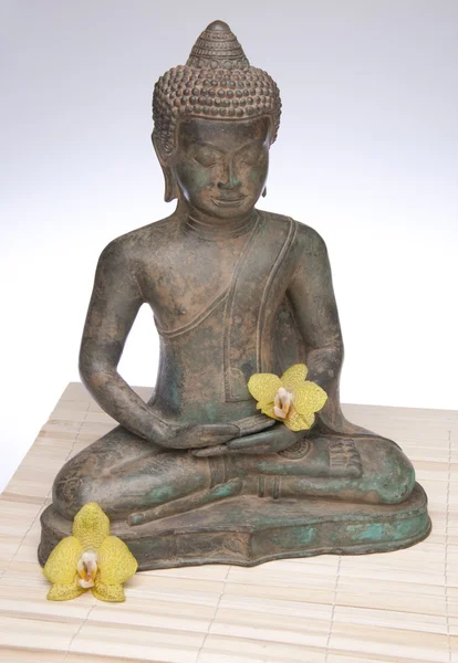 stock image Meditating Buddha