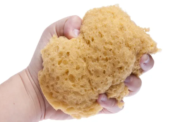 Hand Squeezing Sponge — Stock Photo, Image