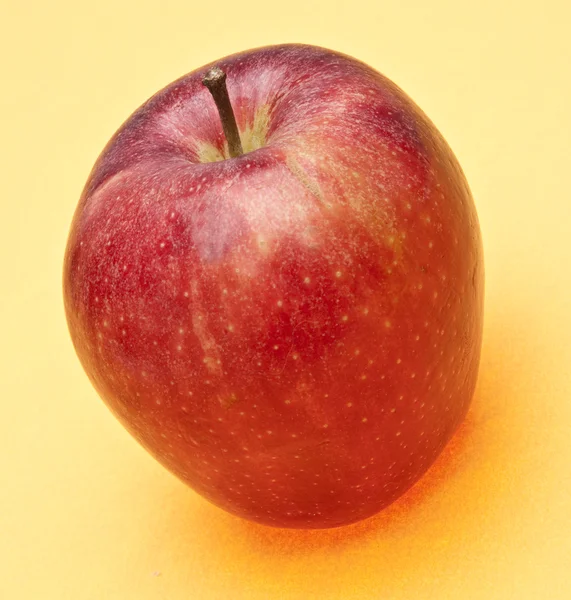 Apple på gula — Stockfoto