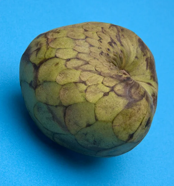 Cherimoya Fruit on Blue — Stock Photo, Image