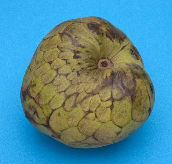 Fruta de Cherimoya em Azul — Fotografia de Stock