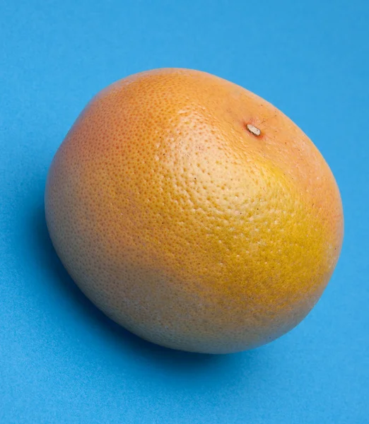 Grapefruit auf Blau — Stockfoto